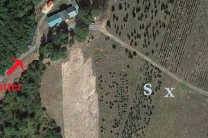Visit Sellers Tree Farm Today: Trees &amp; More! | The Conscious Farmer | Sustainable Agriculture for a Healthier Planet