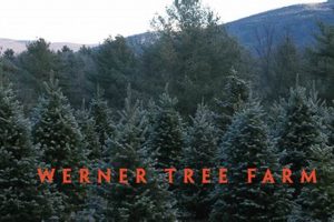 Werner Tree Farm: Your Premier Tree Source! | The Conscious Farmer | Sustainable Agriculture for a Healthier Planet