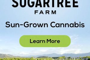 Discover Premier Sugar Tree Farms: Syrup & More | The Conscious Farmer | Sustainable Agriculture for a Healthier Planet