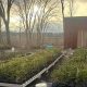 Visit Pioneer Tree Farm Poland, OH: Your Local Source | The Conscious Farmer | Sustainable Agriculture for a Healthier Planet