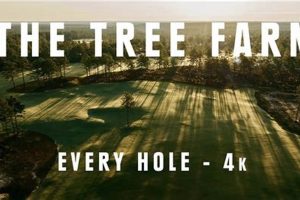 Unique Tree Farm Golf Logo Ideas: Grow Your Brand! | The Conscious Farmer | Sustainable Agriculture for a Healthier Planet