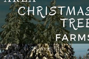 Find Your Perfect Tree: Omaha Christmas Tree Farms Near You | The Conscious Farmer | Sustainable Agriculture for a Healthier Planet