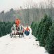 Visit Whispering Pines Tree Farm: Fresh Trees & More! | The Conscious Farmer | Sustainable Agriculture for a Healthier Planet