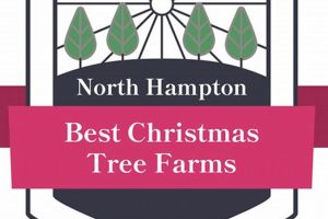 Your Guide to Hampton Tree Farms | Grow Local Now | The Conscious Farmer | Sustainable Agriculture for a Healthier Planet