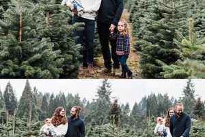 Cherished Christmas Tree Farm Photoshoot Memories | The Conscious Farmer | Sustainable Agriculture for a Healthier Planet
