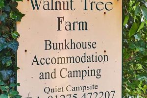 Growing Walnut Tree Farms: Tips &amp; Successes | The Conscious Farmer | Sustainable Agriculture for a Healthier Planet