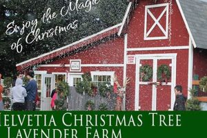 Discover Helvetia Tree Farm: Your Premier Tree Source | The Conscious Farmer | Sustainable Agriculture for a Healthier Planet
