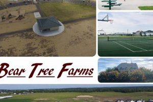 Grow Rich: Sustainable Bear Tree Farms Guide | The Conscious Farmer | Sustainable Agriculture for a Healthier Planet