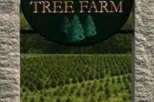 Visit The Scenic Overlook at Geer Tree Farm Today! | The Conscious Farmer | Sustainable Agriculture for a Healthier Planet