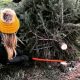 Your Local Solvang Tree Farm Guide & More | The Conscious Farmer | Sustainable Agriculture for a Healthier Planet