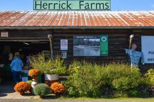 Visit Herrick Tree Farm: Find Your Perfect Evergreen The Conscious Farmer | Sustainable Agriculture for a Healthier Planet Visit Herrick Tree Farm: Find Your Perfect Evergreen | The Conscious Farmer | Sustainable Agriculture for a Healthier Planet