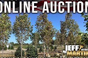 Visit Kahnke Tree Farm: Your [Location] Christmas Tree Experts | The Conscious Farmer | Sustainable Agriculture for a Healthier Planet