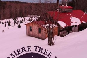 Visit Justamere Tree Farm: Your Premium Tree Source | The Conscious Farmer | Sustainable Agriculture for a Healthier Planet