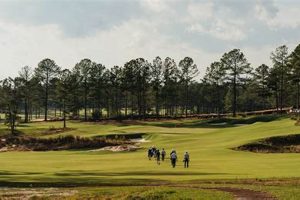 The REAL Zac Blair Tree Farm Golf Membership Cost: Guide & Price | The Conscious Farmer | Sustainable Agriculture for a Healthier Planet