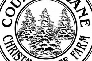 Visit Country Lane Christmas Tree Farm: A Festive Tradition! | The Conscious Farmer | Sustainable Agriculture for a Healthier Planet