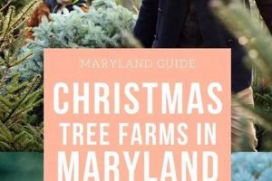 Find Your Perfect Maryland Christmas Tree Farms Tradition! | The Conscious Farmer | Sustainable Agriculture for a Healthier Planet