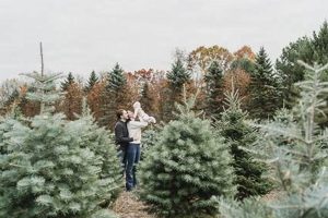 Visit Addison Oaks Christmas Tree Farm: A Holiday Tradition The Conscious Farmer | Sustainable Agriculture for a Healthier Planet Visit Addison Oaks Christmas Tree Farm: A Holiday Tradition | The Conscious Farmer | Sustainable Agriculture for a Healthier Planet