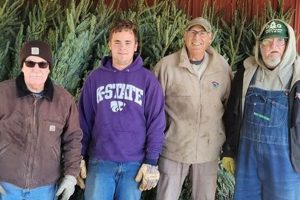 Grow Your Legacy: dg tree farm Guide &amp; Benefits | The Conscious Farmer | Sustainable Agriculture for a Healthier Planet