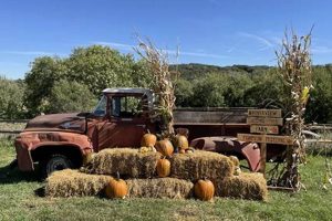 Riverview Christmas Tree Farm & Pumpkin Fest: Holiday Fun! The Conscious Farmer | Sustainable Agriculture for a Healthier Planet Riverview Christmas Tree Farm & Pumpkin Fest: Holiday Fun! | The Conscious Farmer | Sustainable Agriculture for a Healthier Planet