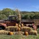 Riverview Christmas Tree Farm & Pumpkin Fest: Holiday Fun! | The Conscious Farmer | Sustainable Agriculture for a Healthier Planet