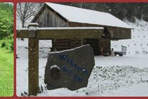 Visit Wilson Glyn Christmas Tree Farm: Fresh Trees Here! | The Conscious Farmer | Sustainable Agriculture for a Healthier Planet