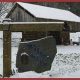 Visit Wilson Glyn Christmas Tree Farm: Fresh Trees Here! | The Conscious Farmer | Sustainable Agriculture for a Healthier Planet