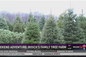 Bosch's Tree Farm: Your Local Tree Experts & More The Conscious Farmer | Sustainable Agriculture for a Healthier Planet Bosch's Tree Farm: Your Local Tree Experts & More | The Conscious Farmer | Sustainable Agriculture for a Healthier Planet