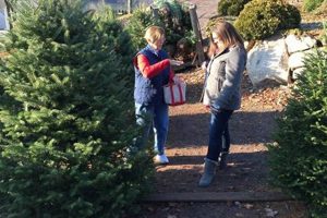 Find Your Perfect Homestead Christmas Tree Farm Near You! | The Conscious Farmer | Sustainable Agriculture for a Healthier Planet