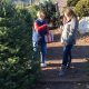 Find Your Perfect Homestead Christmas Tree Farm Near You! | The Conscious Farmer | Sustainable Agriculture for a Healthier Planet