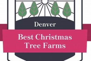 Find Your Perfect Tree: Tree Farm Denver, CO Experts | The Conscious Farmer | Sustainable Agriculture for a Healthier Planet