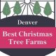 Find Your Perfect Tree: Tree Farm Denver, CO Experts | The Conscious Farmer | Sustainable Agriculture for a Healthier Planet