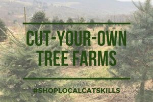 Find Your Perfect Tree: Cut Your Own Tree Farm Fun! | The Conscious Farmer | Sustainable Agriculture for a Healthier Planet