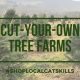 Find Your Perfect Tree: Cut Your Own Tree Farm Fun! | The Conscious Farmer | Sustainable Agriculture for a Healthier Planet