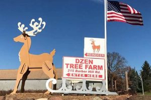 Visit Dzen's Tree Farm South Windsor CT: Trees & More! | The Conscious Farmer | Sustainable Agriculture for a Healthier Planet