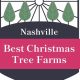 Find Your Perfect Tree: Christmas Tree Farm Nashville TN Guide | The Conscious Farmer | Sustainable Agriculture for a Healthier Planet