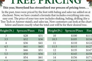Real Christmas Tree Farm Prices: What to Expect + Tips | The Conscious Farmer | Sustainable Agriculture for a Healthier Planet