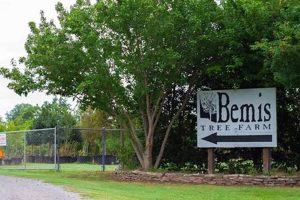 Discover Bemis Tree Farm: Your Local Tree Experts | The Conscious Farmer | Sustainable Agriculture for a Healthier Planet