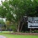 Discover Bemis Tree Farm: Your Local Tree Experts | The Conscious Farmer | Sustainable Agriculture for a Healthier Planet