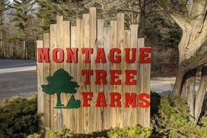 Montague Tree Farm: Your [Location] Christmas Tree Source | The Conscious Farmer | Sustainable Agriculture for a Healthier Planet