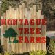 Montague Tree Farm: Your [Location] Christmas Tree Source | The Conscious Farmer | Sustainable Agriculture for a Healthier Planet