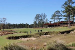 Discover the Charm of Tree Farm Golf Club Today! | The Conscious Farmer | Sustainable Agriculture for a Healthier Planet