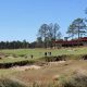 Discover the Charm of Tree Farm Golf Club Today! | The Conscious Farmer | Sustainable Agriculture for a Healthier Planet