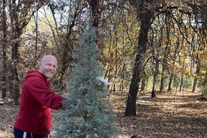 Agri Delights: Sorghum, Trees &amp; Berry Farm Fun | The Conscious Farmer | Sustainable Agriculture for a Healthier Planet