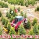 Find Your Perfect Xmas Tree: CT Farms & More! | The Conscious Farmer | Sustainable Agriculture for a Healthier Planet