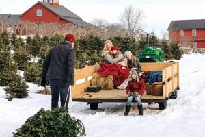 Find Your Perfect Tree: Christmas Tree Farms CT Guide | The Conscious Farmer | Sustainable Agriculture for a Healthier Planet