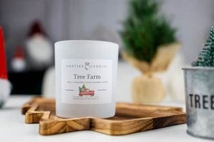 Best Tree Farm Candle: Smells Like Christmas Trees | The Conscious Farmer | Sustainable Agriculture for a Healthier Planet