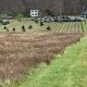 Explore a Majestic Tree Farm: [City/Region] Oasis | The Conscious Farmer | Sustainable Agriculture for a Healthier Planet