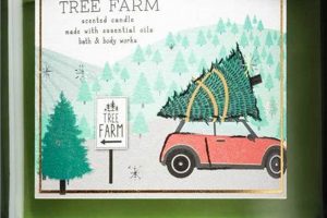 Find Local Tree Farms: The Best Tree Farm Reviews Near You The Conscious Farmer | Sustainable Agriculture for a Healthier Planet Find Local Tree Farms: The Best Tree Farm Reviews Near You | The Conscious Farmer | Sustainable Agriculture for a Healthier Planet