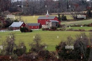 Visit Bourbonnais' Cupola Tree Farm: Holiday Trees & More! The Conscious Farmer | Sustainable Agriculture for a Healthier Planet Visit Bourbonnais' Cupola Tree Farm: Holiday Trees & More! | The Conscious Farmer | Sustainable Agriculture for a Healthier Planet
