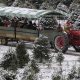 Find Your Perfect Tree at Lucky Dog Christmas Tree Farm | The Conscious Farmer | Sustainable Agriculture for a Healthier Planet